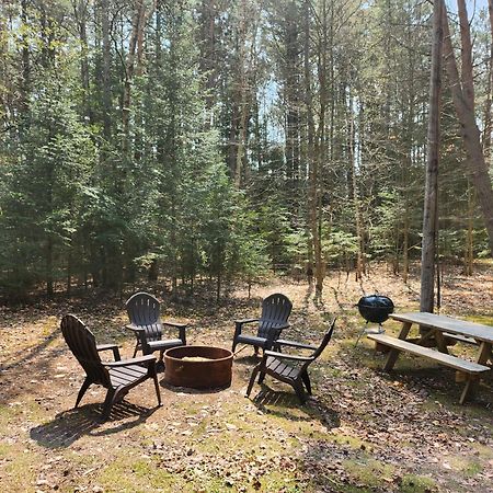 סרנק לייק Moreno'S Adirondack Cabins מראה חיצוני תמונה